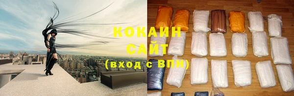 хмурый Дмитровск