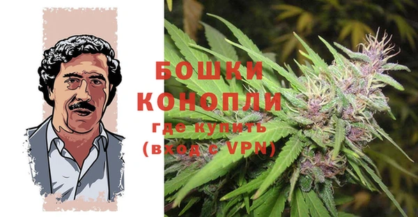 твердый Дмитров
