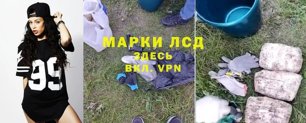 твердый Дмитров