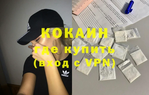твердый Дмитров