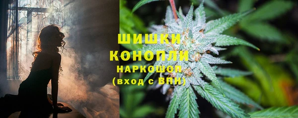 твердый Дмитров