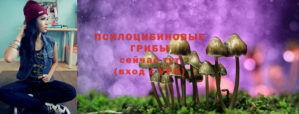 твердый Дмитров