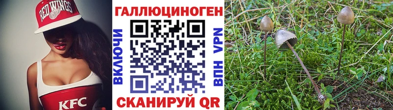 цены наркотик  MEGA как зайти  Галлюциногенные грибы GOLDEN TEACHER  Камбарка 